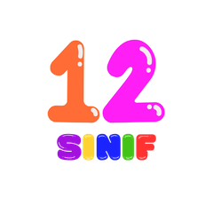 12. Sınıf