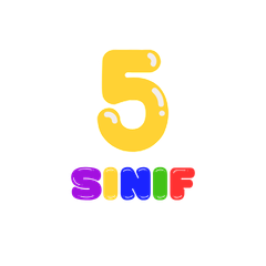 5. Sınıf