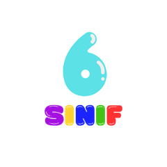 6. Sınıf