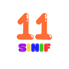 11. Sınıf