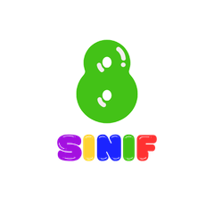 8. Sınıf LGS