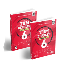 Sınav Yayınları 6. Sınıf Tüm Dersler Kazandıran Set