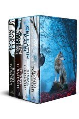 Kırmızı Başlıklı Kız Serisi (4 Kitap), Ciltli