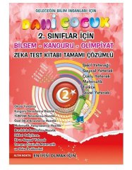 Altın Nokta Dahi Çocuk 2.Sınıflar İçin Zeka Test Kitabı
