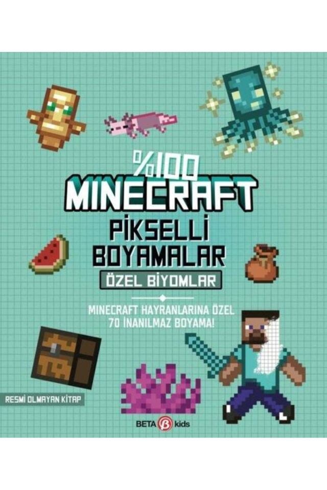 beta kids %100 Minecraft Pikselli Boyamalar Özel Biyomlar
